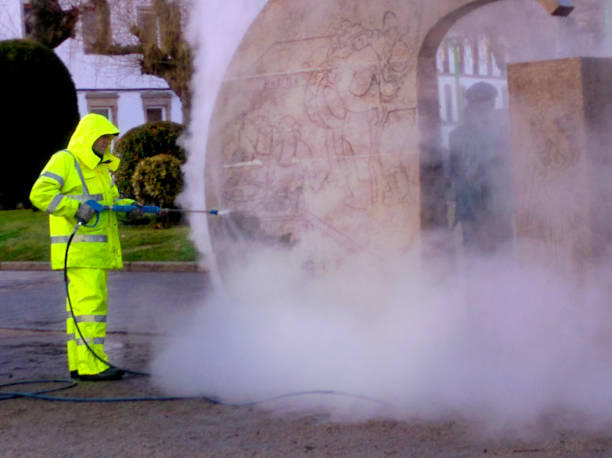 Best Pressure Washing Driveway  in Wake Forest, NC