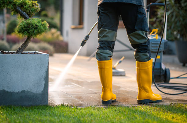 Best Exterior Home Cleaning  in Wake Forest, NC